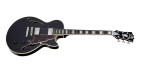 D'Angelico Premier SS Single Cutaway Stop-Bar Tailpie CE Black Flake