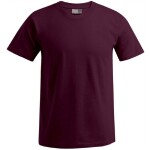 Triko pánské krátký rukáv Premium 180g/m2 100% bavlna 3099 XS-2XL