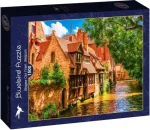 BLUEBIRD Puzzle Bruggy