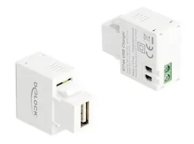 Delock Keystone modul USB (F) - svorkovnice 2 pin (F) bílá / Adaptér / USB Power Delivery 5W (87744)