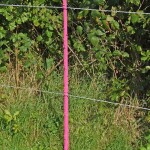 Plastový sloupek pro elektrický ohradník, délka 156 cm, 11 oček, růžový