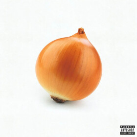 Onion - LP - Life Hard