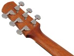 Ibanez AAM100E Natural