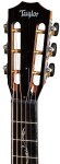Taylor PS12ce 12-Fret