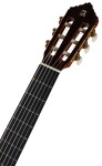 Alhambra Premier Pro Madagascar