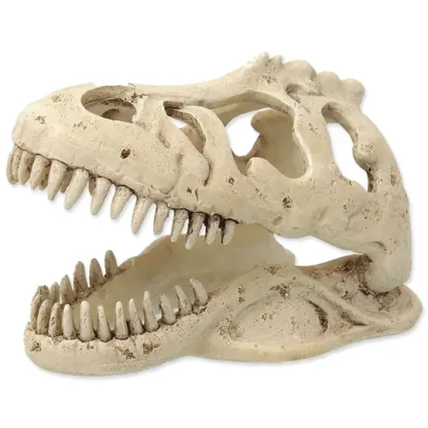 Repti Planet Dekorace T-REX lebka 13.3x8.5x9cm (007-56012)