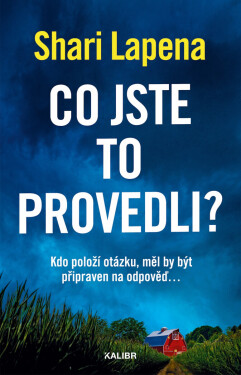 Co jste to provedli? - Shari Lapena