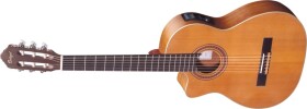Ortega RCE131L