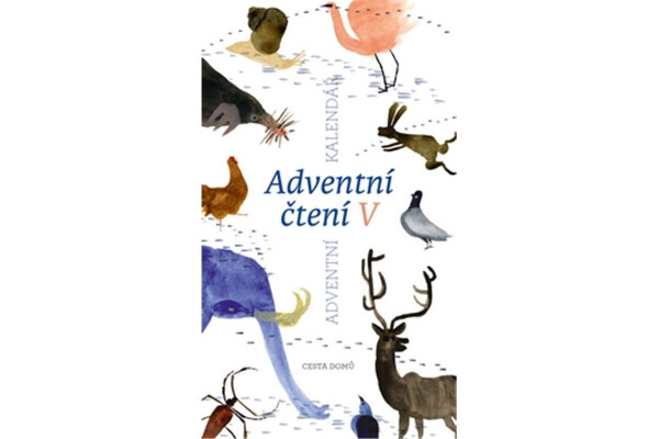 Adventní čtení