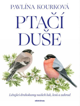 Ptačí duše - Pavlína Kourková