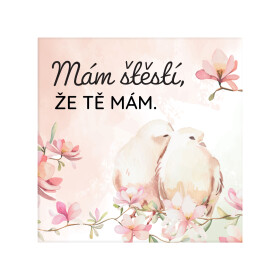 Magnetka - Láska - Albi