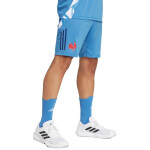 Pánské šortky adidas France Gym blue JC7182 L