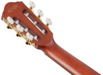 Ibanez FRH20SMN Tobacco Burst