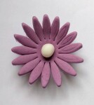 Dortisimo Cukrová sedmikráska velká fialová (9 ks)