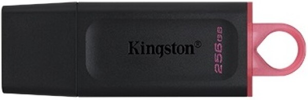 USB flash disk 256GB Kingston DT Exodia, 3.2 (DTX/256GB)