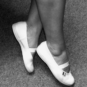 Rozhlasové ranní tělocviky I (80. léta) - Jan Kaláb, Petr Švehla, Rytmická skupina Antonína Švehly, Eva Bosáková, Antonín Fuhrmann ml. - audiokniha