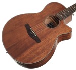 Ibanez AEG220S Natural