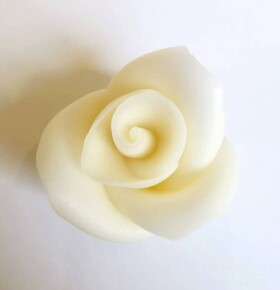 Dortisimo Cukrová růže střední bílá (25 ks)