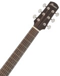 Ibanez AAD190CE Natural