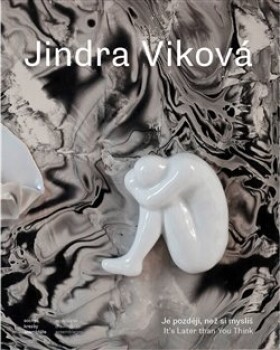 Jindra Viková Je později, než si myslíš Jindra Viková