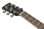 Ibanez PF16MWCE Weathered Black