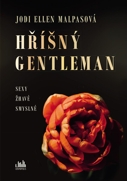 Kniha: Hříšný gentleman od Malpasová Ellen Jodi
