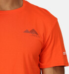 Pánské tričko Regatta RMT273-33L oranžové Oranžová