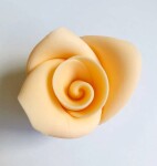 Dortisimo Cukrová růže střední broskvová (25 ks)