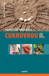 Praktický průvodce cukrovkou II. - Jana Psottová