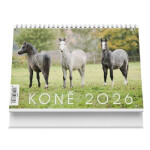 Stolní kalendář Koně 2026