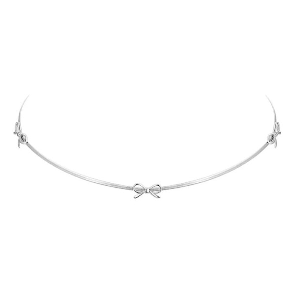 Ocelový choker náhrdelník Francesca - chirurgická ocel, Stříbrná 40 cm + 5 cm (prodloužení)