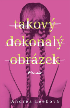 Takový dokonalý obrázek - Andrea Leebová