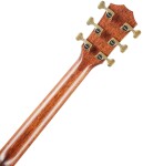 Taylor Builders Edition 814ce Blacktop