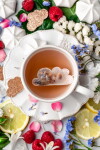 TEA HERITAGE Černý čaj s jablkem a skořicí Cloud – 5 ks, růžová barva, papír, textil