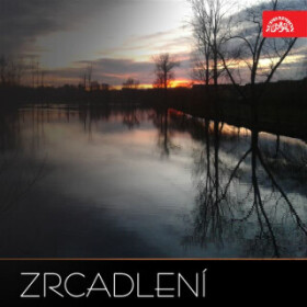 Zrcadlení - Pedro Calderón de la Barca - audiokniha