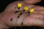 LK Baits Umělá kukuřice Neutral Corn Yellow (48040201)