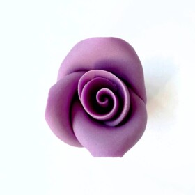 Dortisimo Cukrová růže střední fialová (25 ks)