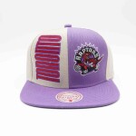 Mitchell & Ness Pánská kšiltovka Toronto Raptors NBA Pop Panel Snapback