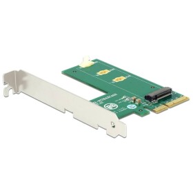 Delock 89561 karta PCI-Express PCIe
