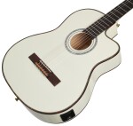 Ortega RCE145WH