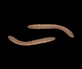 Libra Lures Fatty D’Worm Pellet - D’Worm 6,5cm 10ks,Libra Lures Fatty D’Worm Pellet - D’Worm 6,5cm 10ks