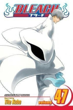 Bleach 47 (anglicky) - Noriaki Kubo