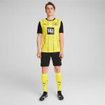 Puma Borussia Dortmund Home Replica M 774946 01 pánské tričko S (173 cm)
