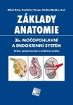 Základy anatomie. 3b