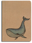 Notes Velryba A5