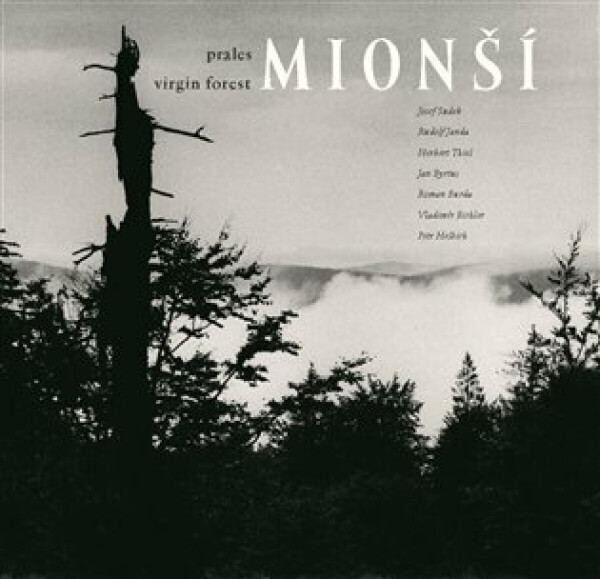 Prales Mionší (poškozená)