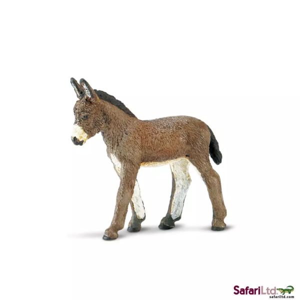 Safari Ltd. Safari Ltd. Oslí hříbě