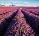 Nástěnný kalendář 2027 vázankový Helma Provence