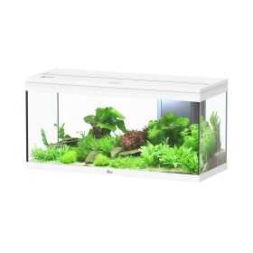 Aquatlantis akvarijní set VOLGA 180 Startovací balíček hodnotě 800 Kč, Barva