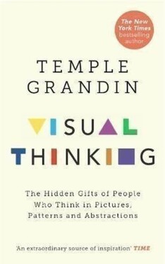 Visual Thinking : The Hidden Gifts of People Who Think in Pictures, Patterns and Abstracti - Temple Grandin